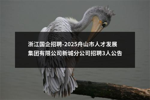 浙江国企招聘-2025舟山市人才发展集团有限公司新城分公司招聘3人公告 图片