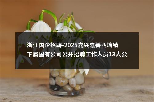 浙江国企招聘-2025嘉兴嘉善西塘镇下属国有公司公开招聘工作人员13人公告 图片
