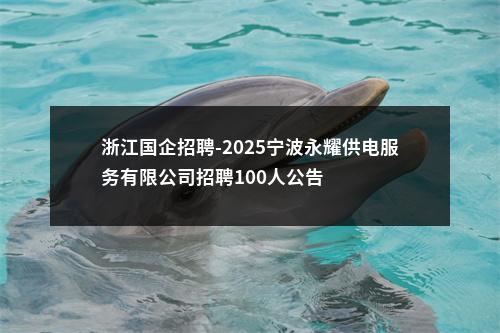 浙江国企招聘-2025宁波永耀供电服务有限公司招聘100人公告 图片