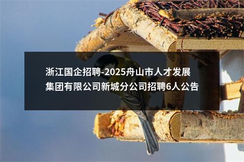 浙江国企招聘-2025舟山市人才发展集团有限公司新城分公司招聘6人公告 图片