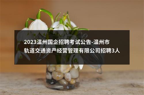 2023温州国企招聘考试公告-温州市轨道交通资产经营管理有限公司招聘3人 图片