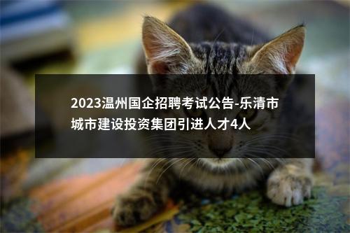 2023温州国企招聘考试公告-乐清市城市建设投资集团引进人才4人 图片