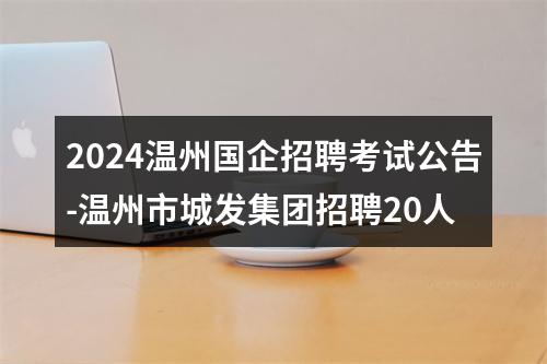 2024温州国企招聘考试公告-温州市市属国企招聘131人 图片