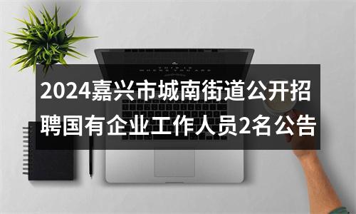 2024嘉兴市城南街道公开招聘国有企业工作人员2名公告 图片