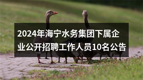 2024年海宁水务集团下属企业公开招聘工作人员10名公告 图片