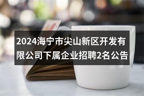 2024海宁市尖山新区开发有限公司下属企业招聘2名公告 图片