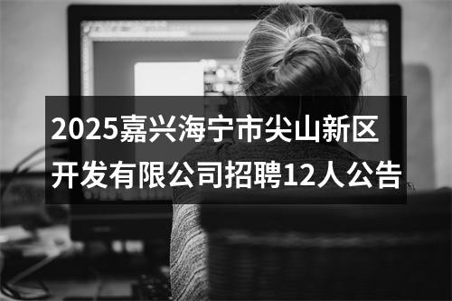 2025嘉兴海宁市尖山新区开发有限公司招聘12人公告 图片