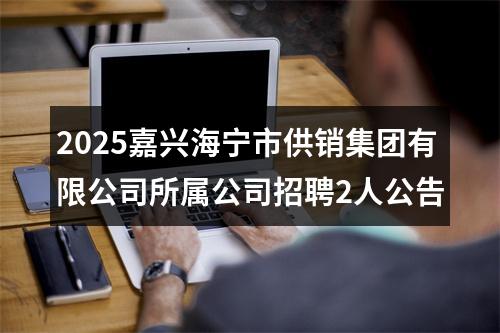2025嘉兴海宁市供销集团有限公司所属公司招聘2人公告 图片