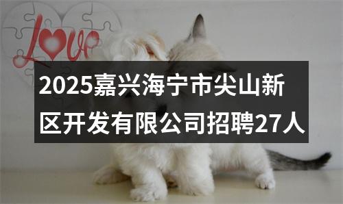 2025嘉兴海宁市尖山新区开发有限公司招聘27人 图片