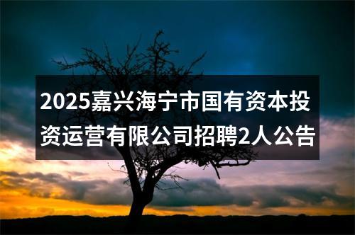 2025嘉兴海宁市国有资本投资运营有限公司招聘2人公告 图片
