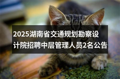 2025湖南省交通规划勘察设计院招聘中层管理人员2名公告 图片