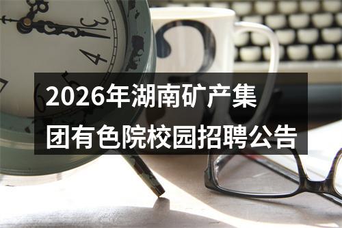 2026年湖南矿产集团有色院校园招聘公告 图片