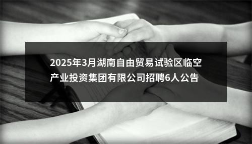2025年3月湖南自由贸易试验区临空产业投资集团有限公司招聘6人公告 图片