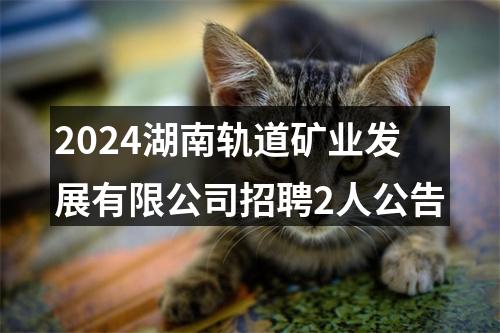 2024湖南轨道矿业发展有限公司招聘2人公告 图片