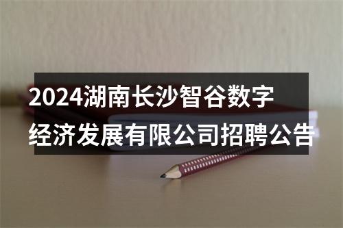 2024湖南长沙智谷数字经济发展有限公司招聘公告 图片