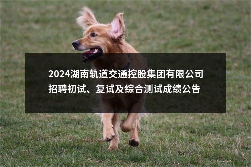 2024湖南轨道交通控股集团有限公司招聘初试、复试及综合测试成绩公告 图片