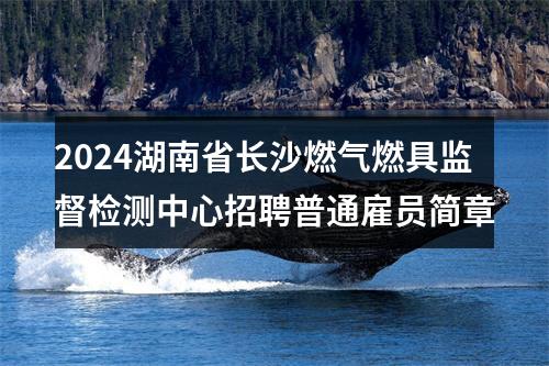 2024湖南省长沙燃气燃具监督检测中心招聘普通雇员简章 图片