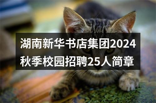 湖南新华书店集团2024秋季校园招聘25人简章 图片
