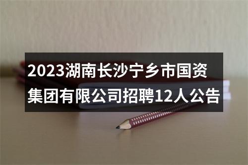 2023湖南长沙宁乡市国资集团有限公司招聘12人公告 图片