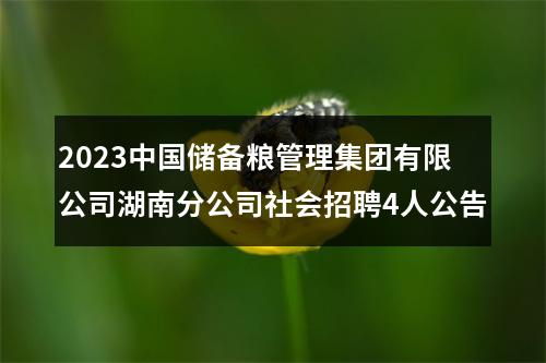 2023中国储备粮管理集团有限公司湖南分公司社会招聘4人公告 图片