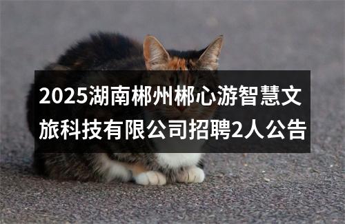2025湖南郴州郴心游智慧文旅科技有限公司招聘2人公告 图片