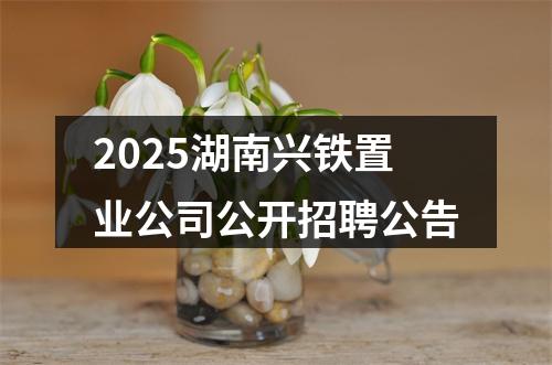 2025湖南兴铁置业公司公开招聘公告 图片