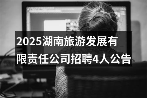 2025湖南旅游发展有限责任公司招聘4人公告 图片