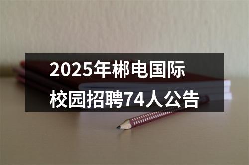 2025年郴电国际校园招聘74人公告 图片