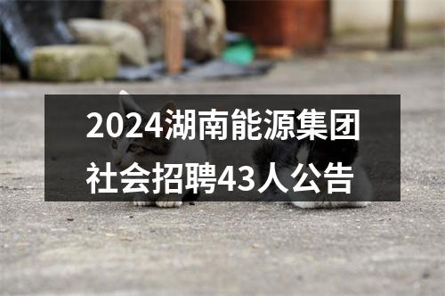 2024湖南能源集团社会招聘43人公告 图片