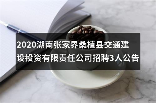 2020湖南张家界桑植县交通建设投资有限责任公司招聘3人公告 图片