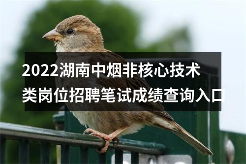 2022湖南中烟非核心技术类岗位招聘笔试成绩查询入口 图片