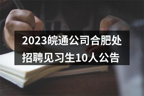 2023皖通公司合肥处招聘见习生10人公告 图片