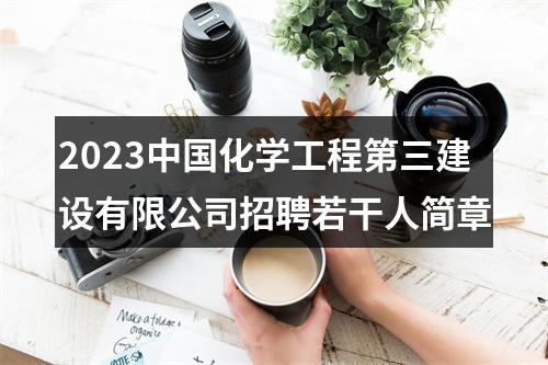 2023中国化学工程第三建设有限公司招聘若干人简章 图片