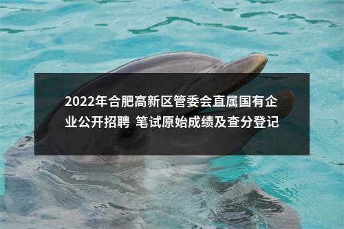 2022年合肥高新区管委会直属国有企业公开招聘  笔试原始成绩及查分登记公告 图片
