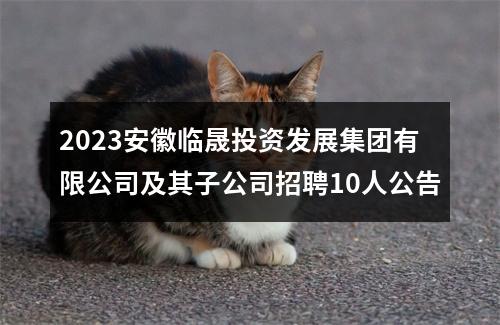 2023安徽临晟投资发展集团有限公司及其子公司招聘10人公告 图片