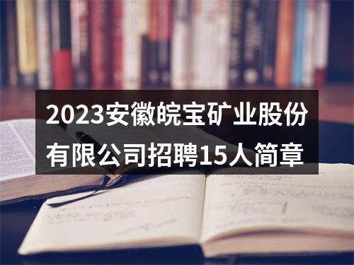 2023安徽皖宝矿业股份有限公司招聘15人简章 图片