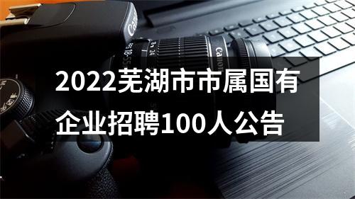 2022芜湖市市属国有企业招聘100人公告 图片