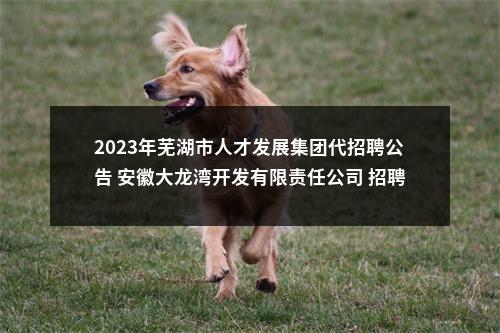 2023年芜湖市人才发展集团代招聘公告 安徽大龙湾开发有限责任公司 招聘正式员工公告 图片