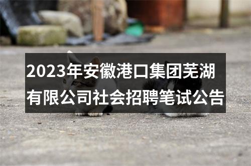 2023年安徽港口集团芜湖有限公司社会招聘笔试公告 图片