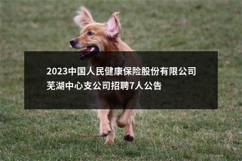 2023中国人民健康保险股份有限公司芜湖中心支公司招聘7人公告 图片