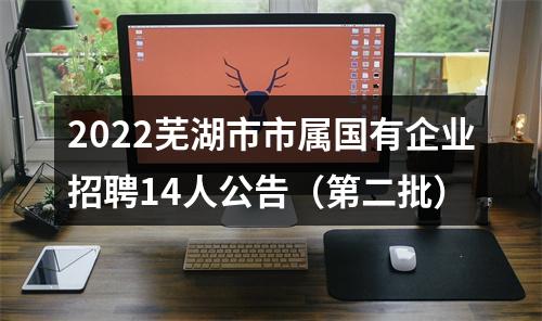 2022芜湖市市属国有企业招聘14人公告（第二批） 图片