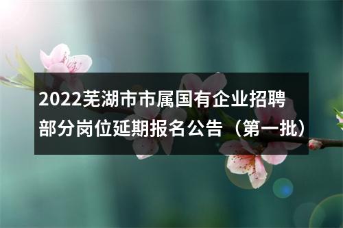 2022芜湖市市属国有企业招聘部分岗位延期报名公告（第一批） 图片