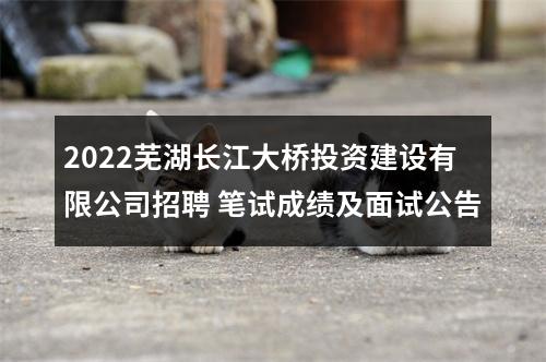 2022芜湖长江大桥投资建设有限公司招聘 笔试成绩及面试公告 图片