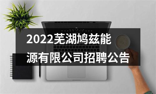 2022芜湖鸠兹能源有限公司招聘公告 图片