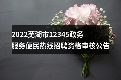 2022芜湖市12345政务服务便民热线招聘资格审核公告 图片