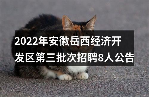 2022年安徽岳西经济开发区第三批次招聘8人公告 图片