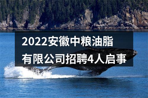 2022安徽中粮油脂有限公司招聘4人启事 图片