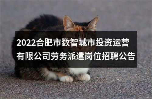 2022合肥市数智城市投资运营有限公司劳务派遣岗位招聘公告 图片