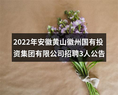 2022年安徽黄山徽州国有投资集团有限公司招聘3人公告 图片