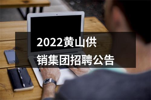 2022黄山供销集团招聘公告 图片